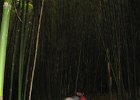 2006-07-26-GETTING TO THE GORILLAS-IMG 1783